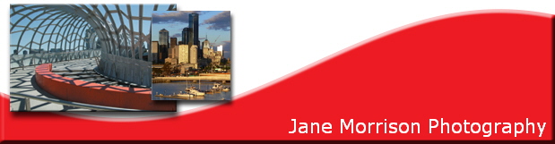 Jane Morrison Photography